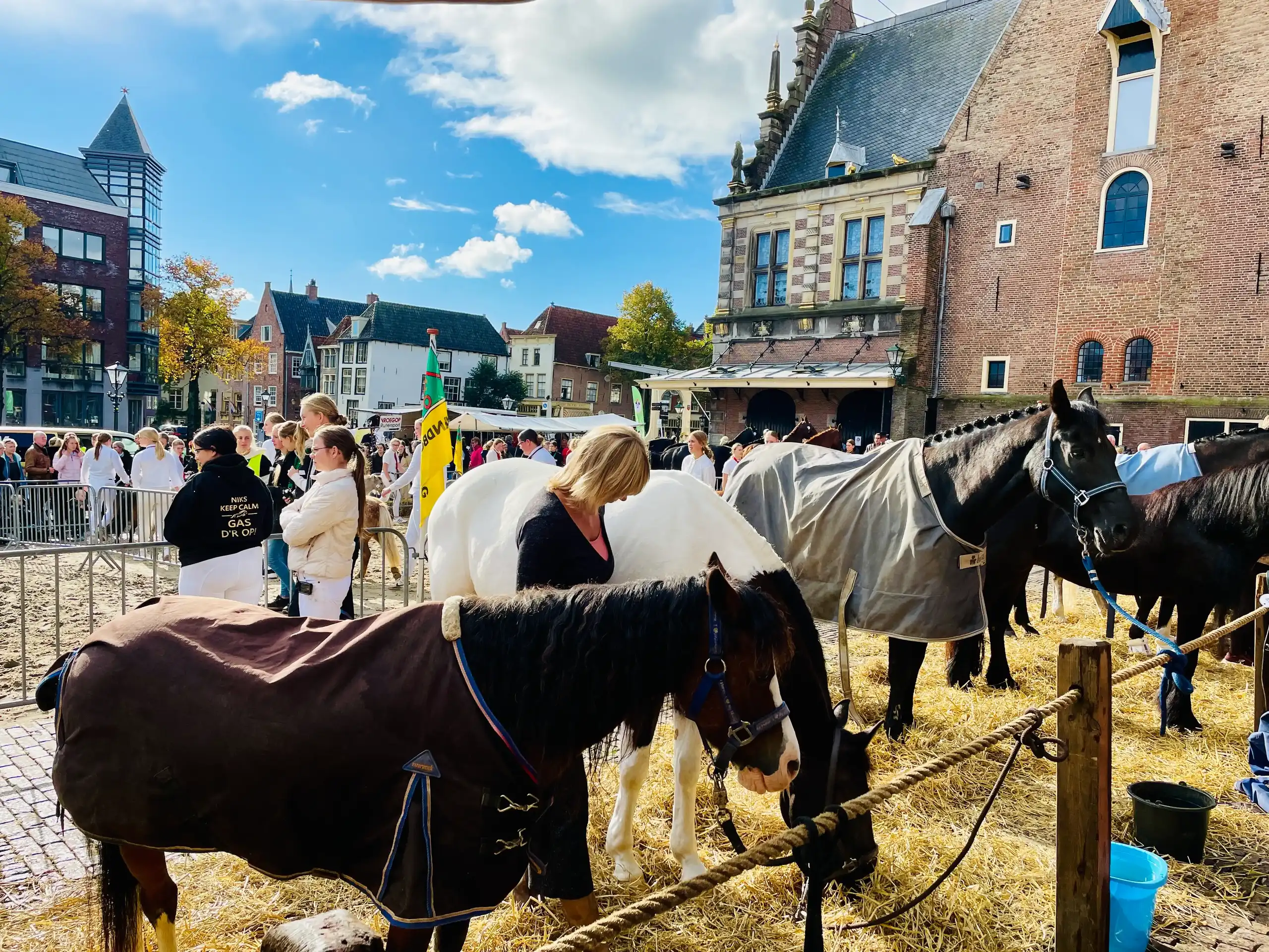 Paarden op het Waagplein met de Waagtoren en blauwe lucht op de achtergrond